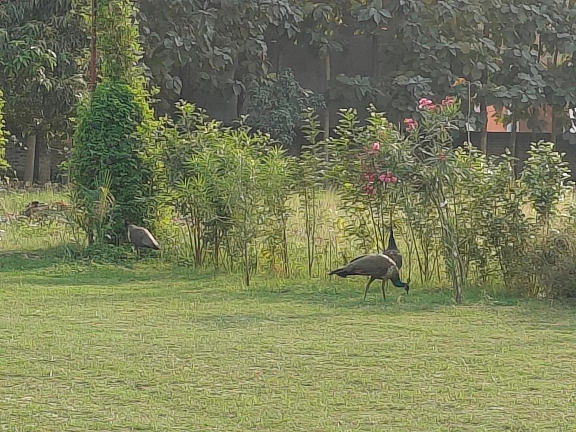 Nature Varanasi